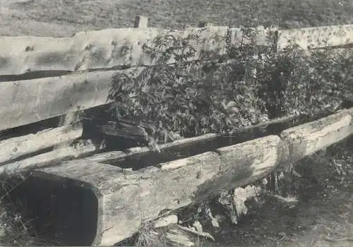 Still life photo