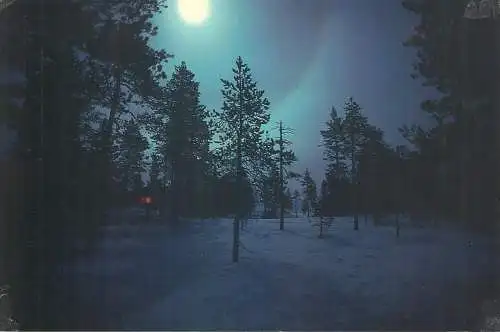 Postcard picturesque natural forest landscape moonlight scenery