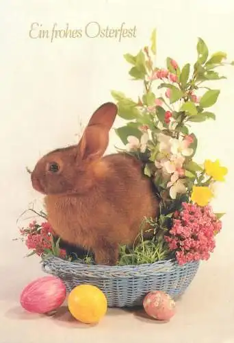 Animals Postcard Easter greetings rabbit in flower basket painted eggs