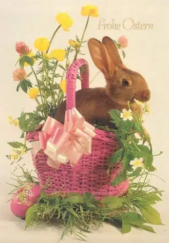 Animals Postcard Easter greetings rabbit in flower basket