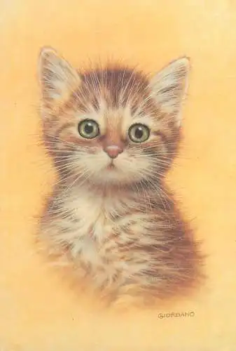 Animals Giordano art Postcard cat