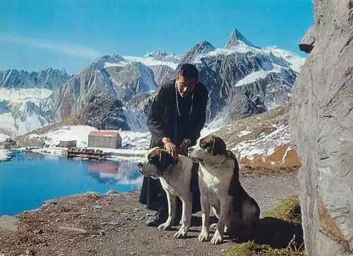 Animals Postcard Switzerland Col du Grand priest with his Saint Bernard dogs