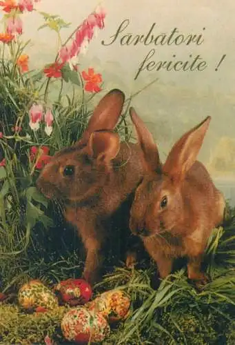 Animals Easter greetings Postcard rabbits with pencilled eggs