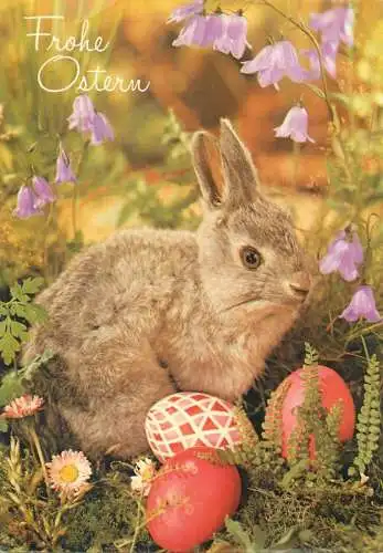 Animals Easter greetings Postcard hare with pencilled eggs