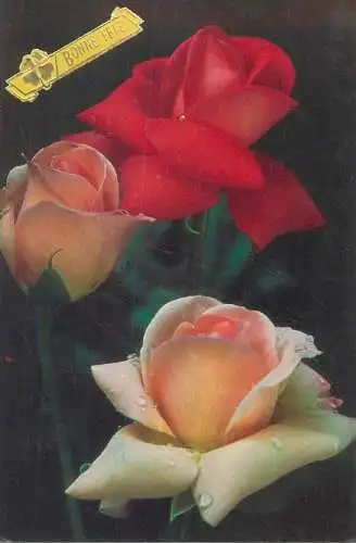 Flora Greetings Postcard Bonne Fete roses