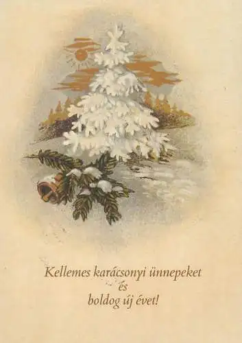 Winter Holidays greetings Postcard snow-covered fir tree