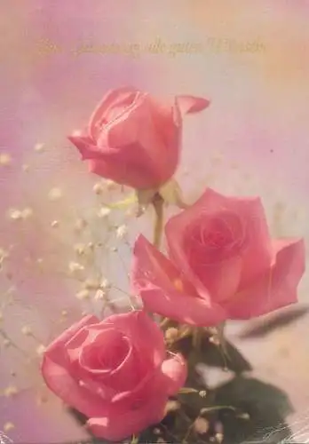 Birthday greetings Postcard roses