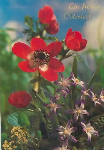 Post card Ein frohes Osterfest poppies wild flowers detail aspect
