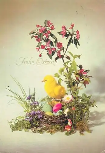 greetings Post card Frohe Ostern floral arrangement chicken poultry pencilled eggs