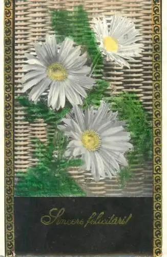 Heartily Congrats Postcard daisies
