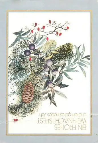 Winter Holidays greetings Postcard fir tree branch acorns