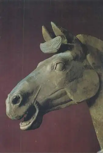 Fine Arts Postcard East Asian Museum Detail of horse head Qin Shihuangs Shaanxi Provinsmuseum Xian
