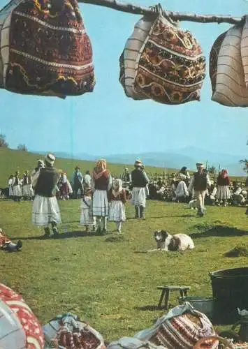 Postcard Tarani din satul Moieseni jud. Maramures costume traditionale