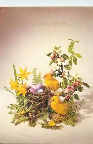 Frohliche Ostern Postcard chicken painted and flowers