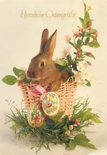 Easter holiday greetings animals Postcard rabbit in basket with pencilled eggs and flowers