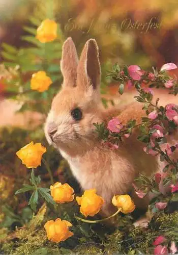 Animals Easter Holiday greetings Postcard rabbit