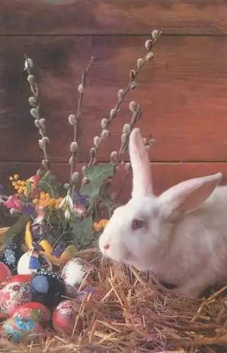 Animals Postcard Easter bunny with pencilled eggs and flowery willow branch