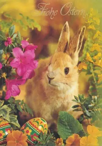 Animals Post card Easter bunny between colourful flowers Holiday greetings painted eggs