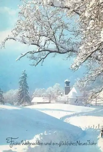 Postcard winter landscape view Winter Holidays greetings