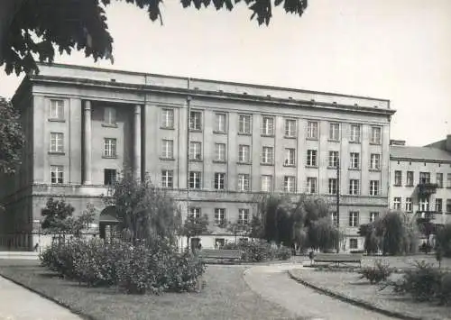 Postcard Poland Częstochowa people council