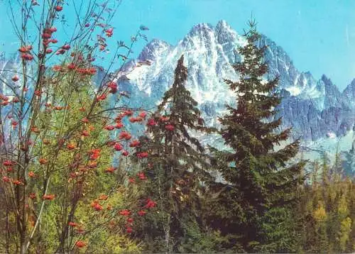Postcard Slovakia Vysoké Tatry