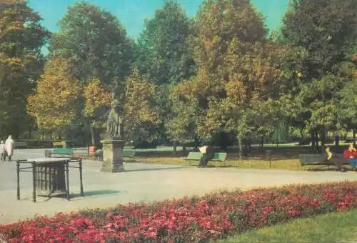 Postcard Poland Warszawa Ograd Saski