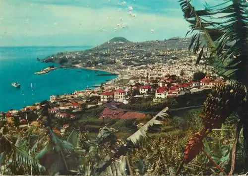Postcard Portugal Funchal