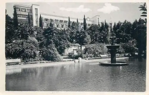 Postcard Russia Soci resort 1960
