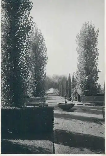 Postcard Place to identify 1947 gardens park