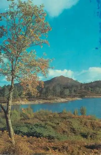 Postcard picturesque landscape lake mountain scenery detail view