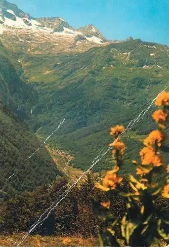 Postcard France Vallée du Lis Luchon