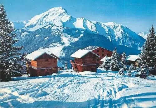 Postcard France Chatel les petits chalets Super Chatel