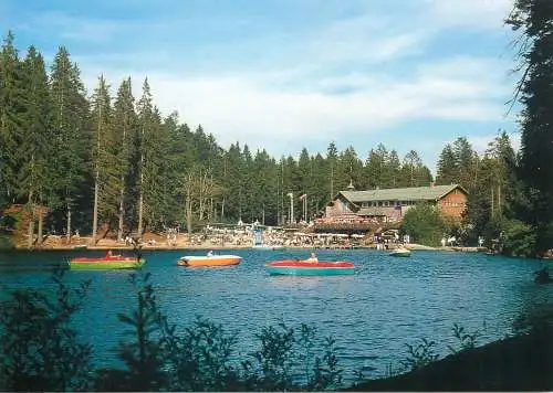 Postcard Germany Bayerischer Wald Grosser Arbersee mit Blick