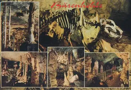 Postcard Germany Bear's Cave (Karls- und Bärenhöhle) skeleton
