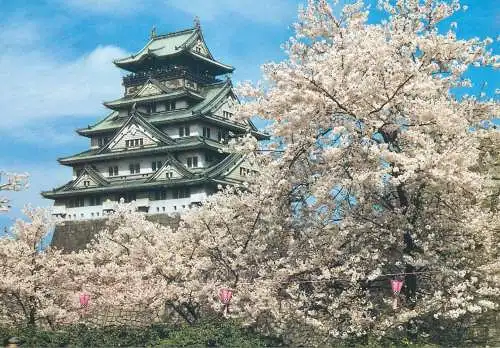 Postcard Japan Osaka castle surrounded by cherry trees