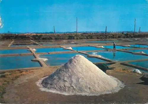 Postcard France Cote Atlantique les Marais salants 1967