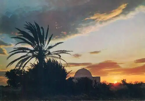 Postcard Tunisie Sud Tunisien coucher du Soleil
