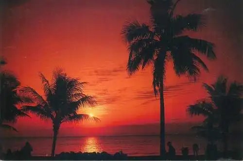 Postcard USA FL Florida sunset 2000
