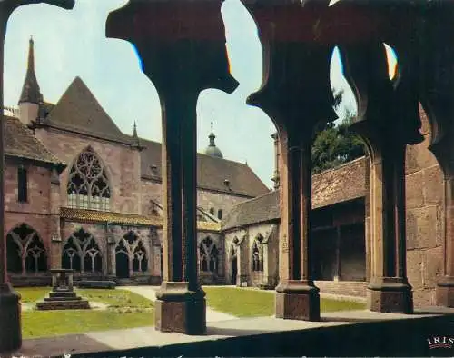 Postcard France Vosges Saint-Die cloitre