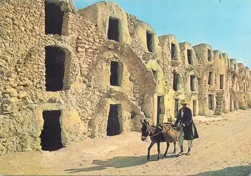 Postcard Tunisie Medenine les Ghorfas donkey