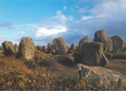Postcard France Carnac les alignements de Kermario