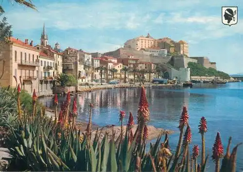 Postcard France Corse Ile de Beaute Calvi la citadelle 1978