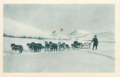 Alaska en voyage sur le Cercle Artique dogs traction sledge wagons lits l`Artique