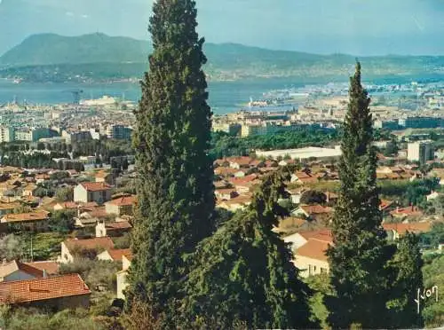 Postcard France Var Toulon Lumiere