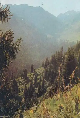 Postcard Kazakhstan Alma-Ata 1968