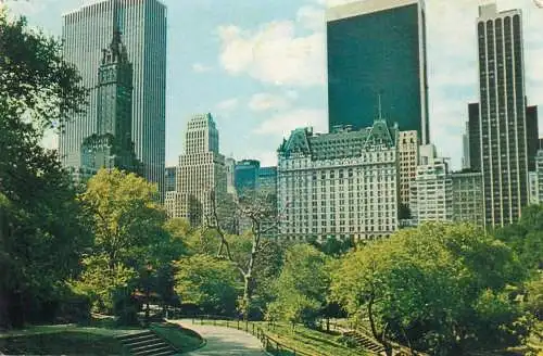 Postcard USA NY Fifth Avenue skyline