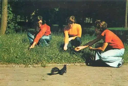 Postcard people feeding squirrel in the park
