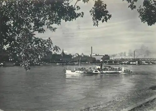 Post card Slovakia Bratislava Danube sailing types