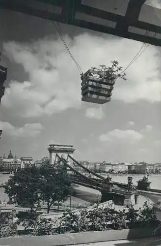 Postcard Hungary Budapest Chain Bridge partial view
