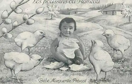 Easter greetings Postcard Les poussins du Rameau Bebe Marguerite Prevost La Famille du Rameau d'Olivier